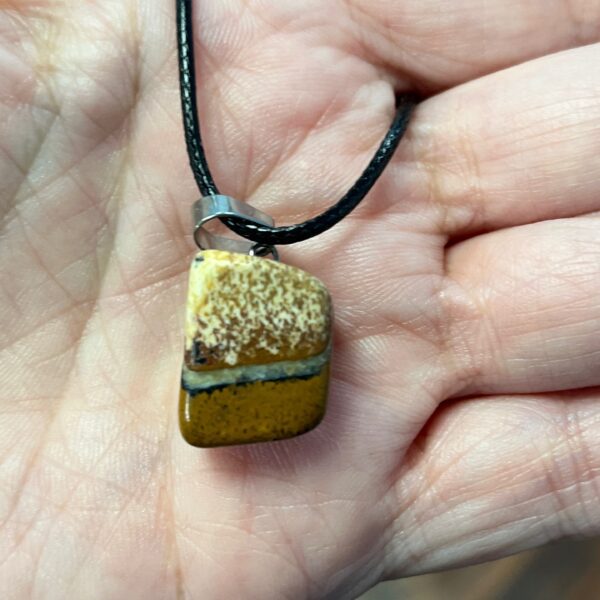 Picture Jasper Pendants