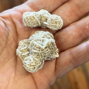 Desert Rose