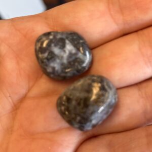 Indigo Gabbro