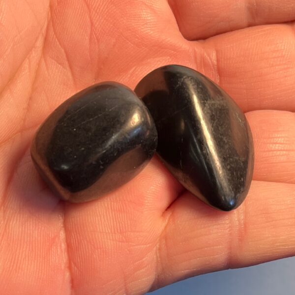 Shungite