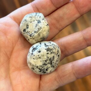 Dalmatian