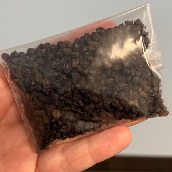 Elderberry per 1/2 oz