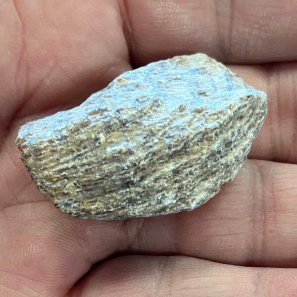 RAW Aragonite, Brown