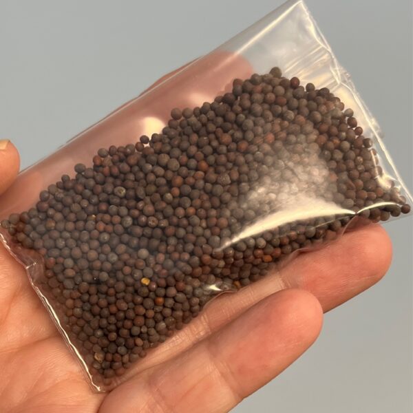 Mustard Seed per 1/2oz