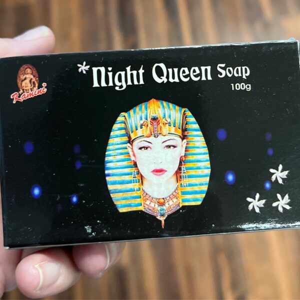 Kamini Night Queen