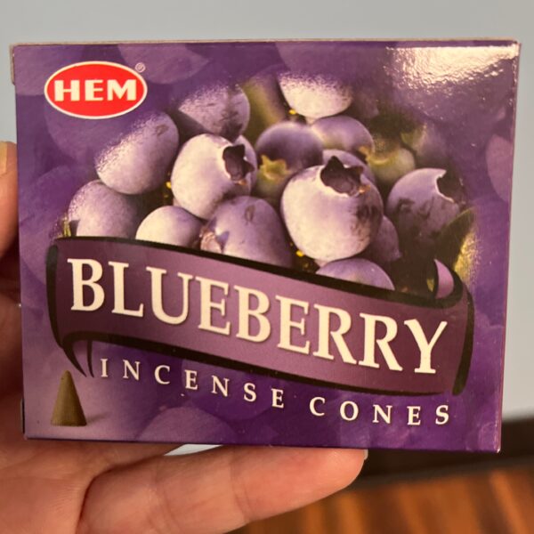 HEM Blueberry Cones