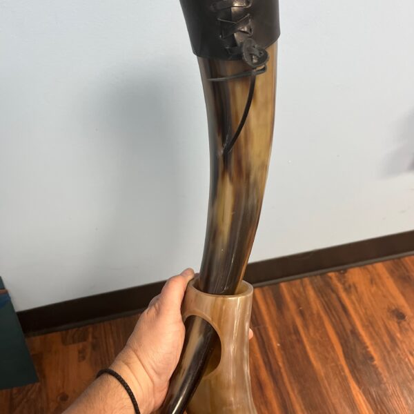 Viking Drinking Horn