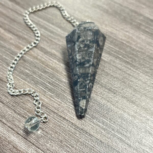 Black Coral Fossil Pendulum