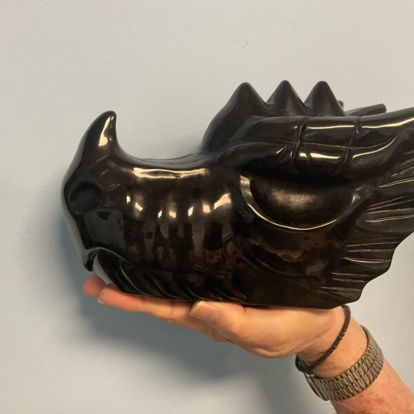 Obsidian Dragon’s Head