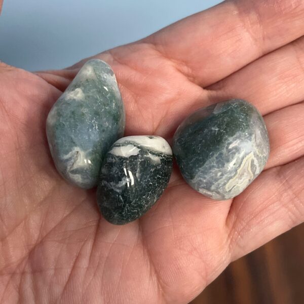 Tree Agate