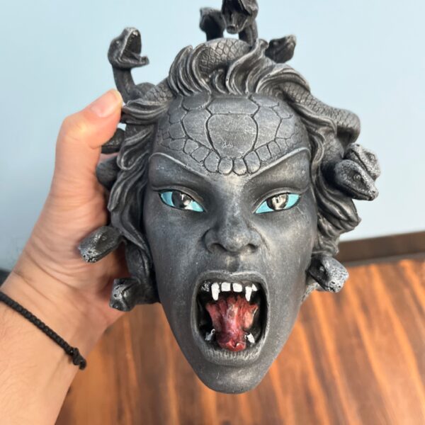 Medusa Head