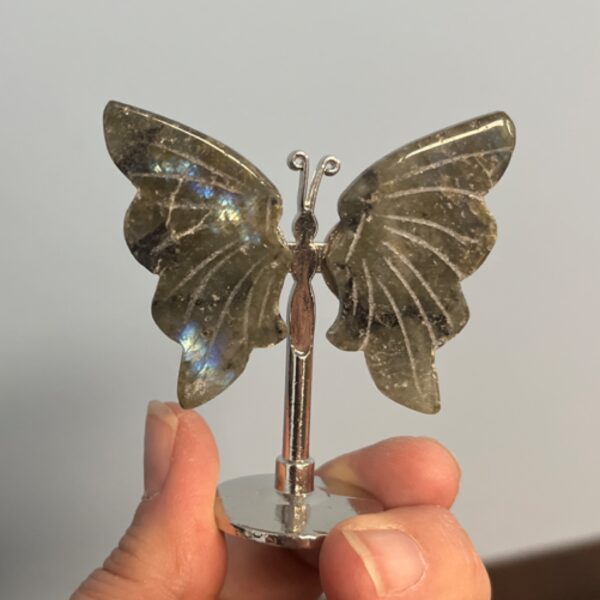 Crystal Butterfly