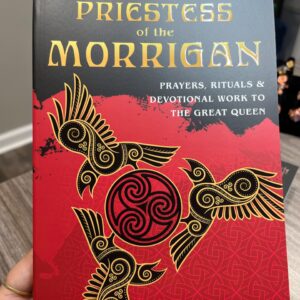 Priestess of the Morrigan