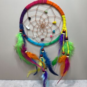 Leather Multicolor Dream Catcher