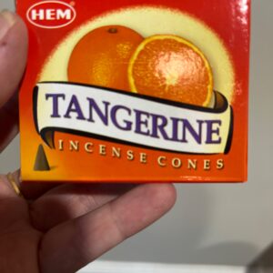 HEM Tangerine Cones