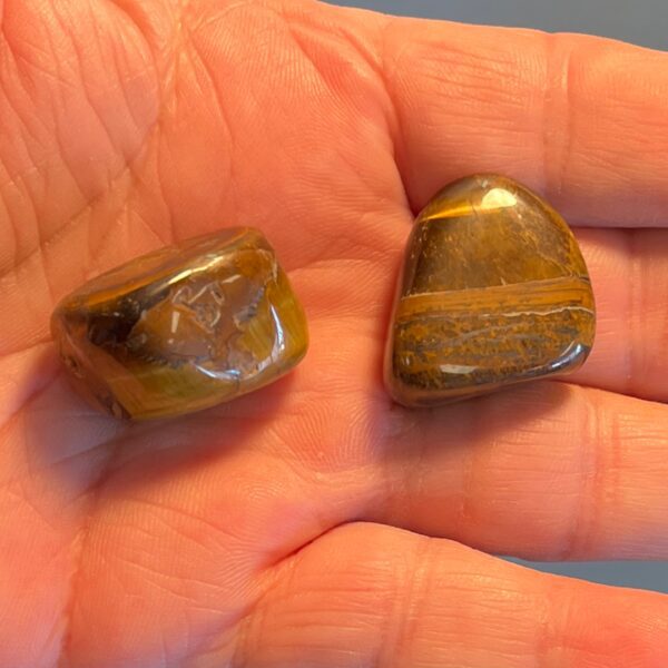 Tiger's Eye Tumbled