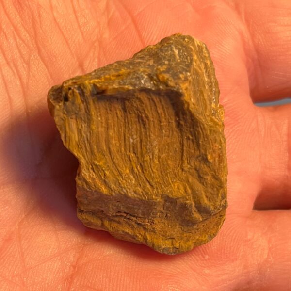 RAW Tiger's Eye