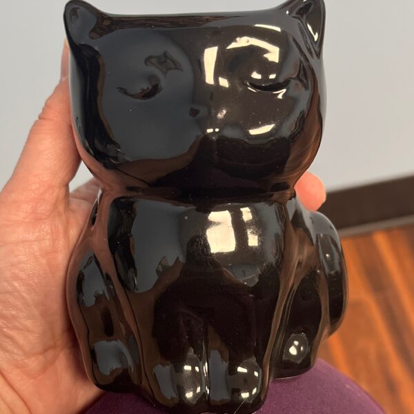 Black Cat Diffuser