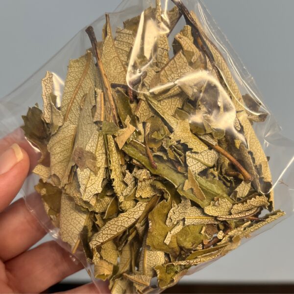 Yerba Santa per 1/2oz