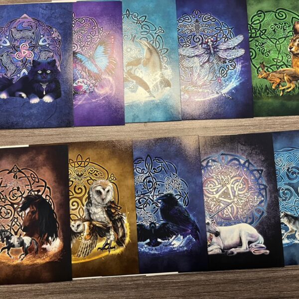 Animal Blank Cards & Envelopes