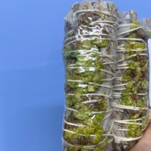 White Sage/Green Sinuata Smudge